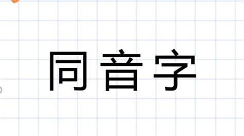 中 同音字